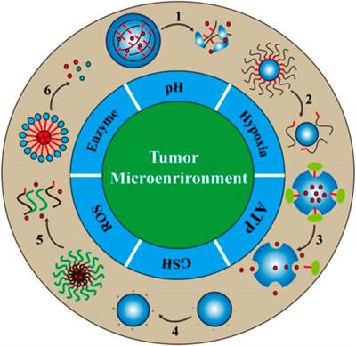 Recent Progress in Bio-Responsive Drug Delivery Systems for Tumor Therapy